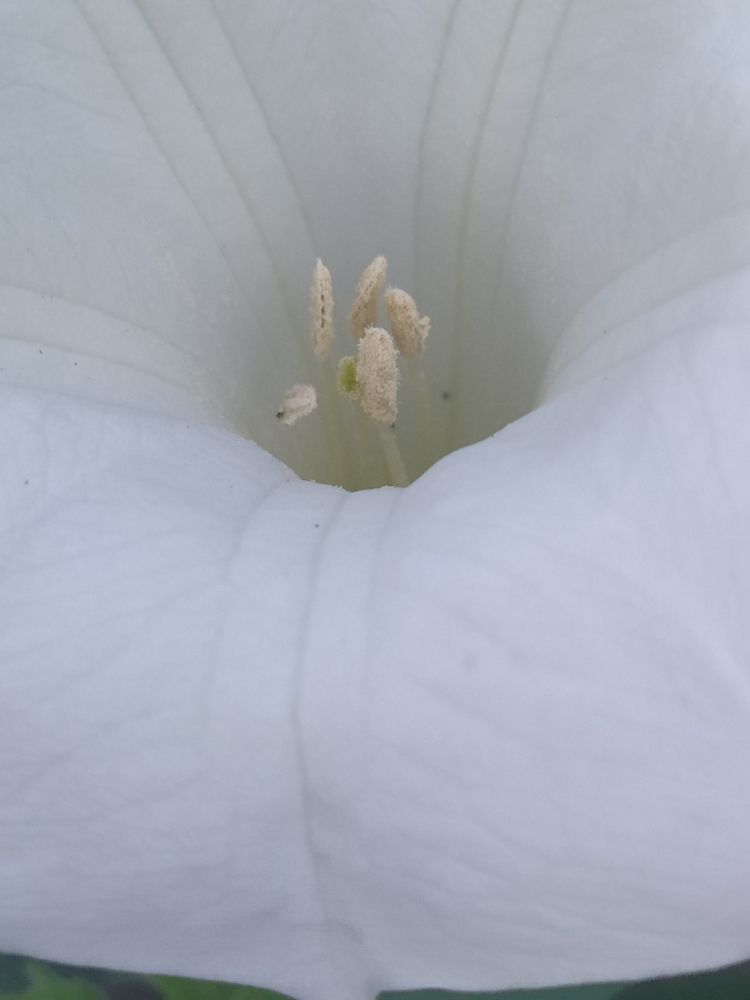 Photograph by Татьяна Клемба