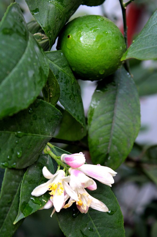 Photograph by Николай Немчанинов