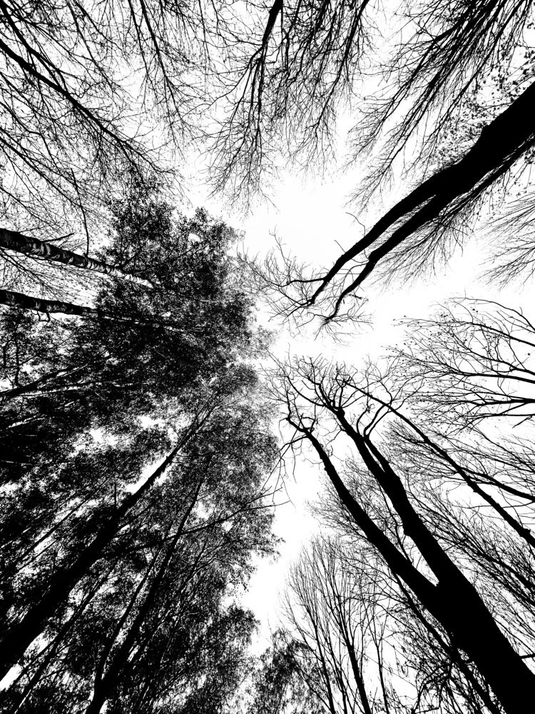 Photograph by Uladzimir Hvozd