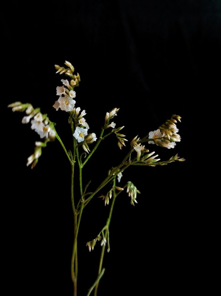 Photograph by Анна Кош