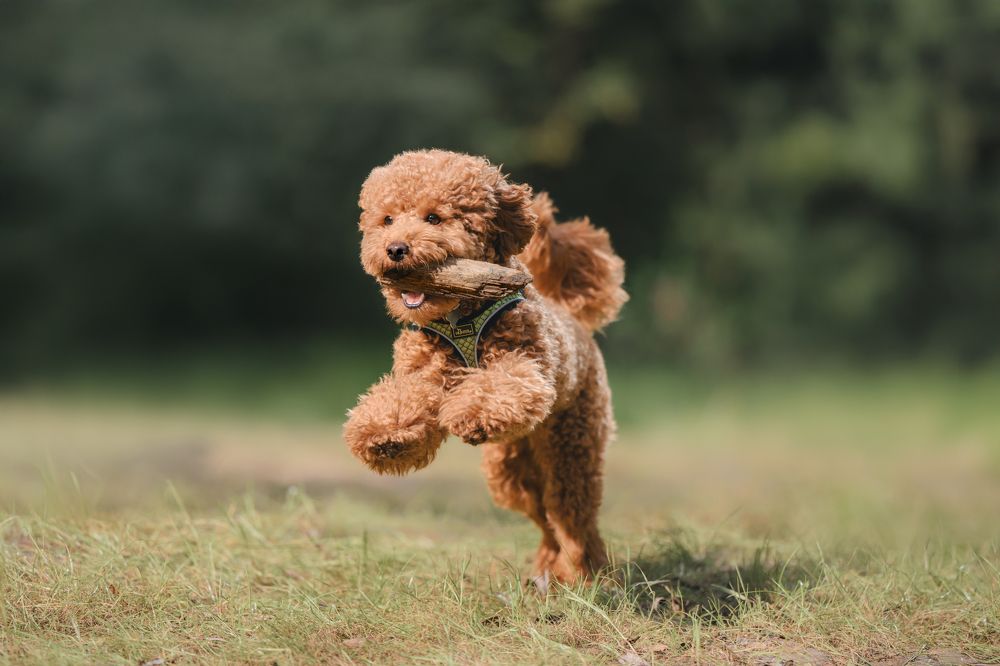 Photograph by Анастасия Жучкова