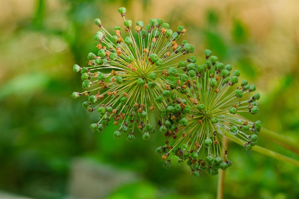 Photograph by Анна