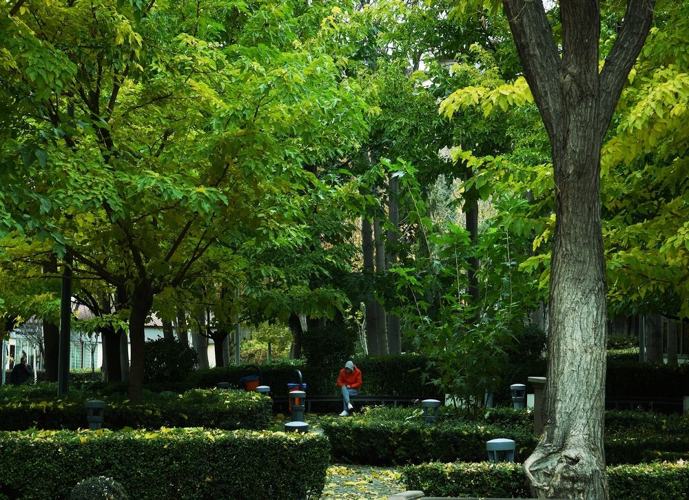 Photograph by Süleyman Ülker