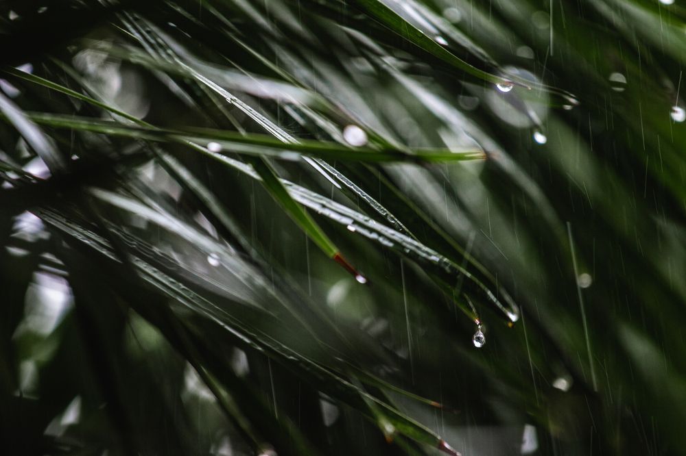 Photograph by Ксения Супрун