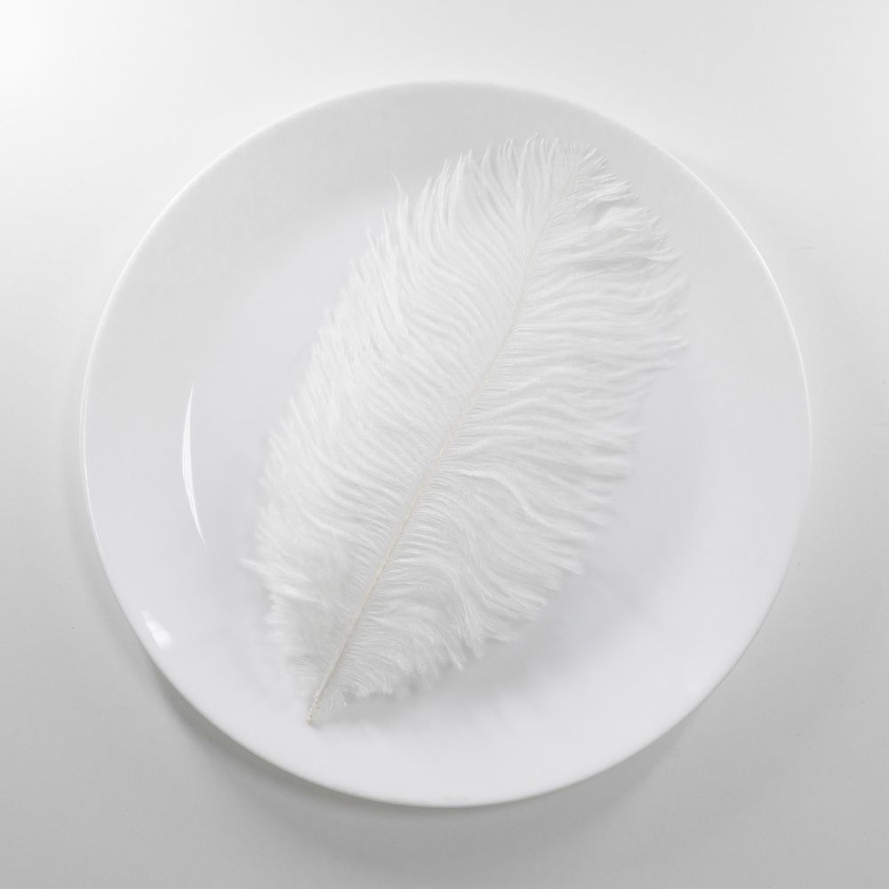 Фотография автора Михаил Бушенёв