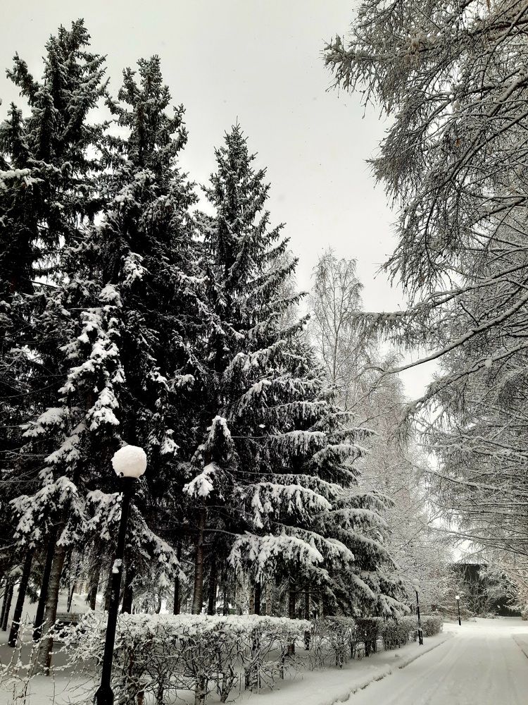 Фотография автора Наталья Шендяпина