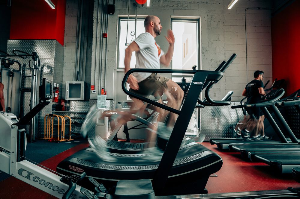 Фотография автора Kimia Shad