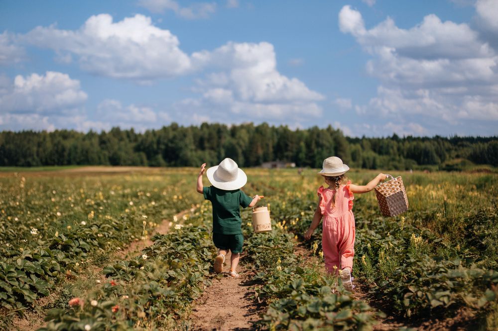 Фотография автора Виктория Головнич