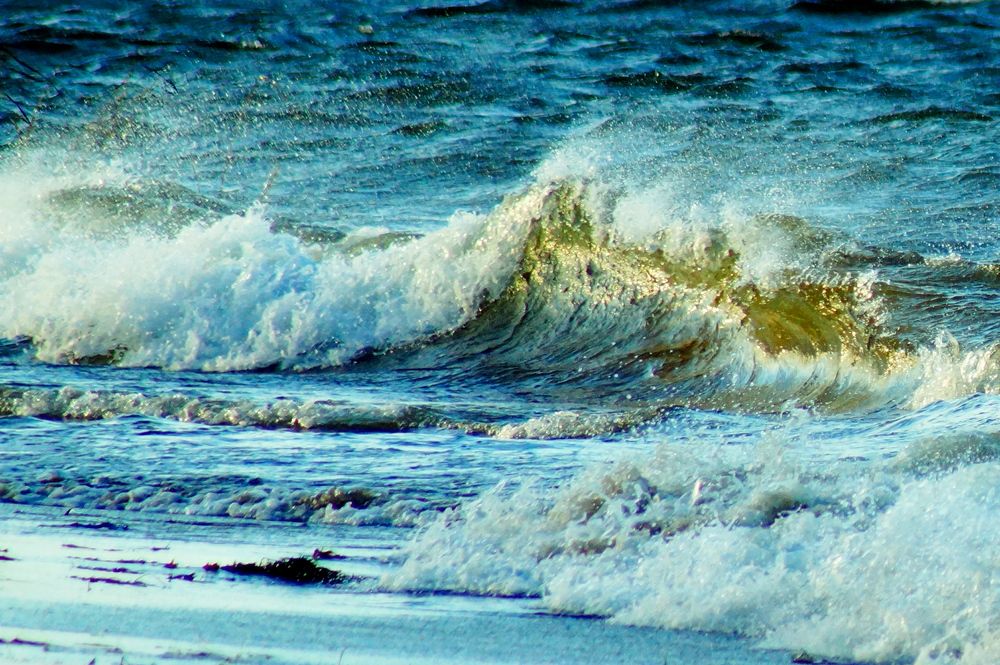 Фотография автора Jevgeni Filimonov