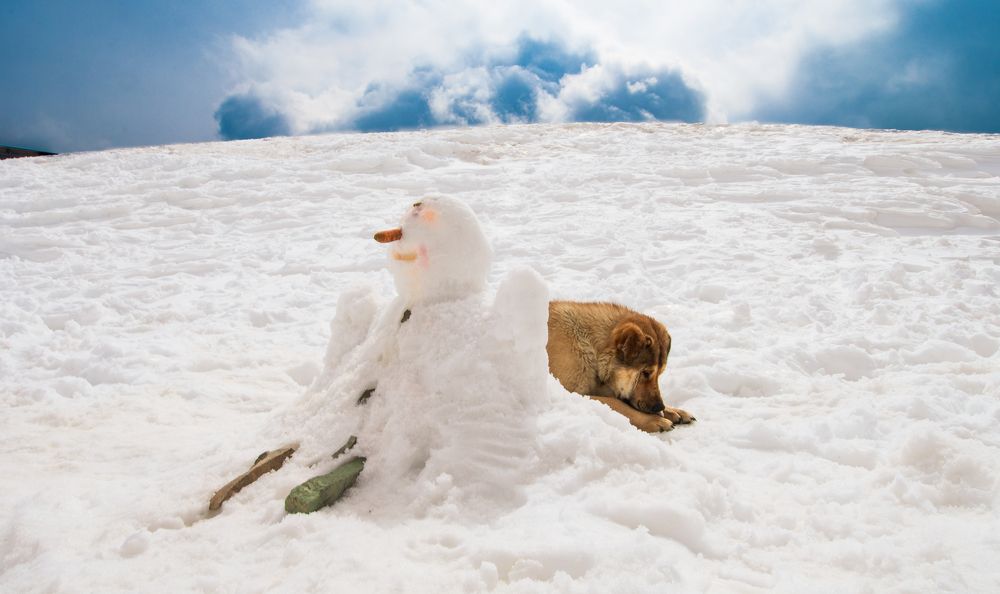 Photograph by shabu joseph