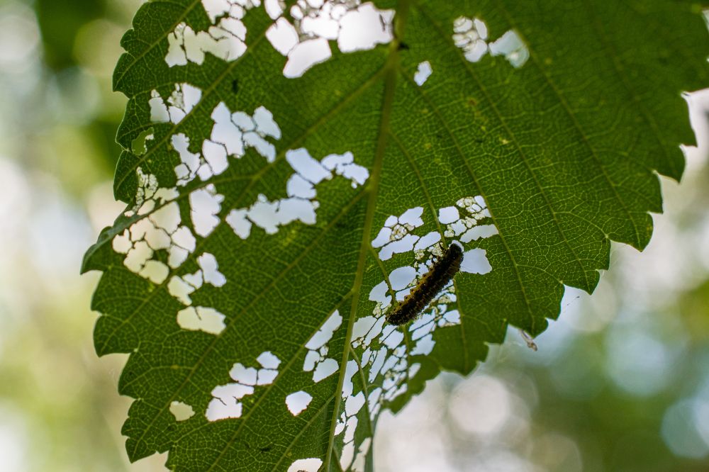Photograph by Олег Алексеев