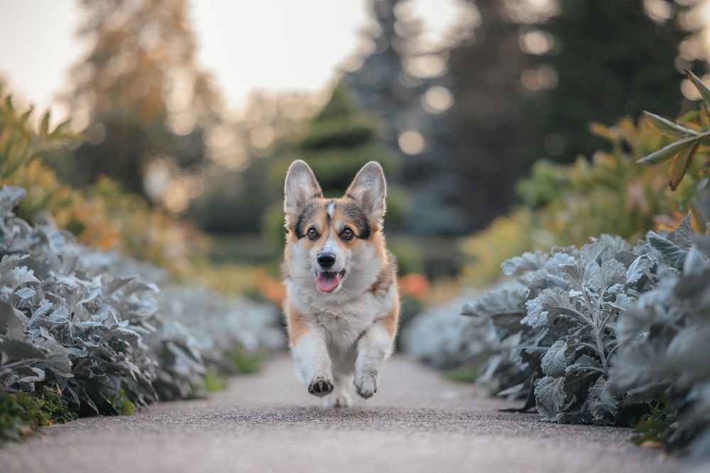 Photograph by Анастасия Жучкова