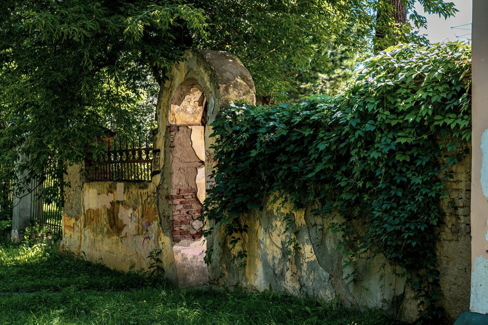 Photograph by Людмила Аксенова