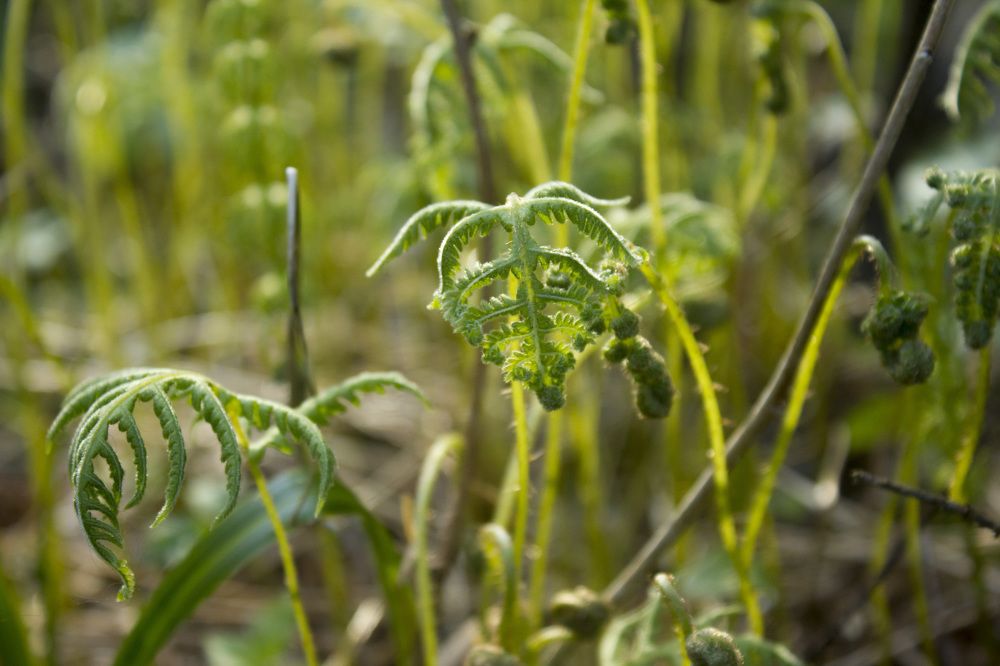 Фотография автора Александр Собокарь