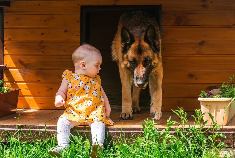 Выходи, присаживайся рядом.