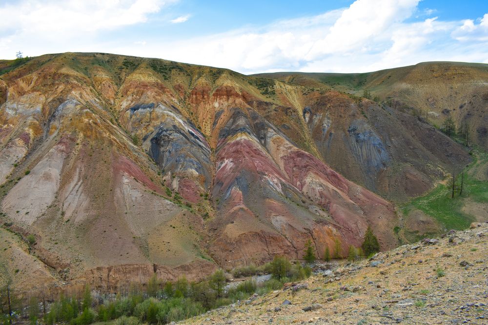 Алтайский марс