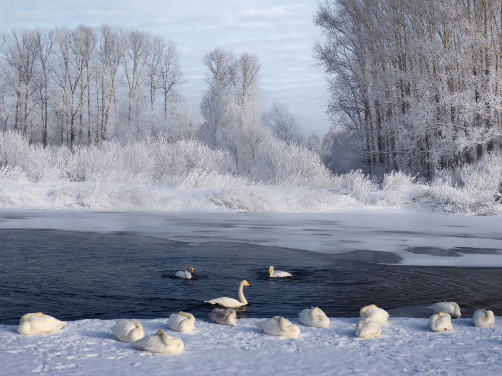 Photograph by Галина Хвостенко