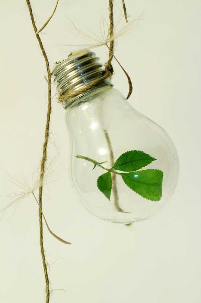 Photograph by Valentina Vasileva