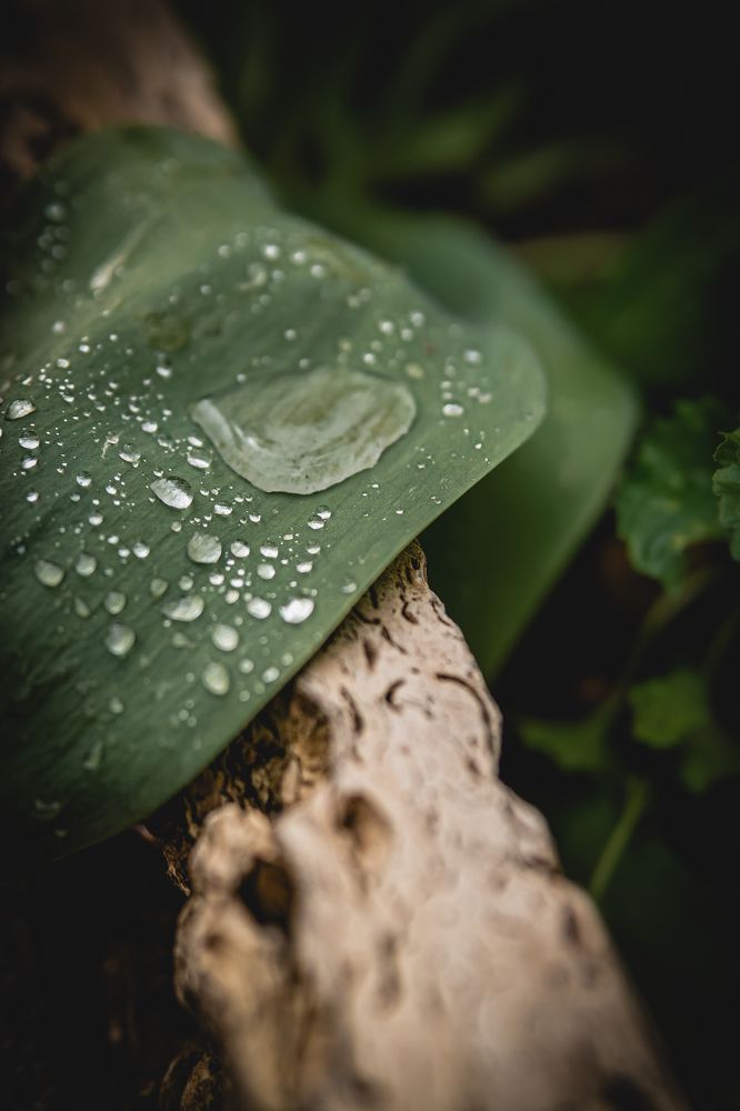 Photograph by Valentina Vasileva