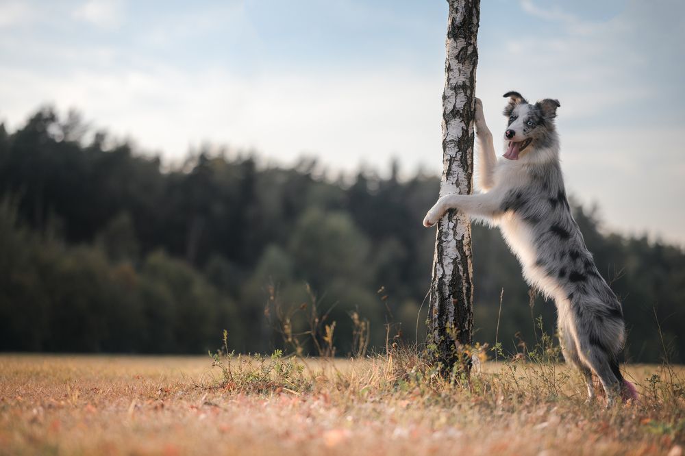 Photograph by Анастасия Жучкова