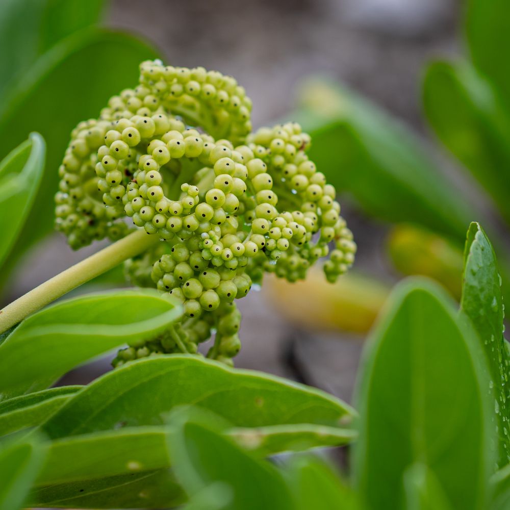 Photograph by Анастасия