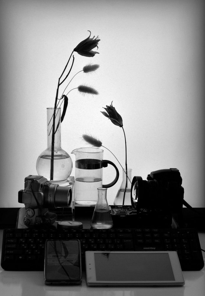 Photograph by Александр Зарх