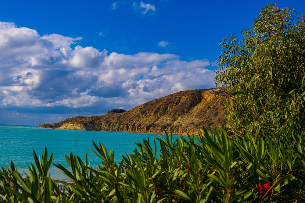 Photograph by Ekaterina Narozhnova