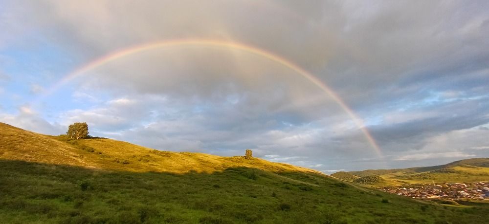 Photograph by Светлана