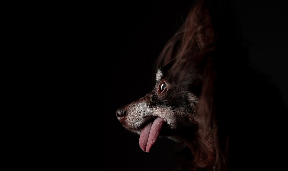 Photograph by Ольга Ходова