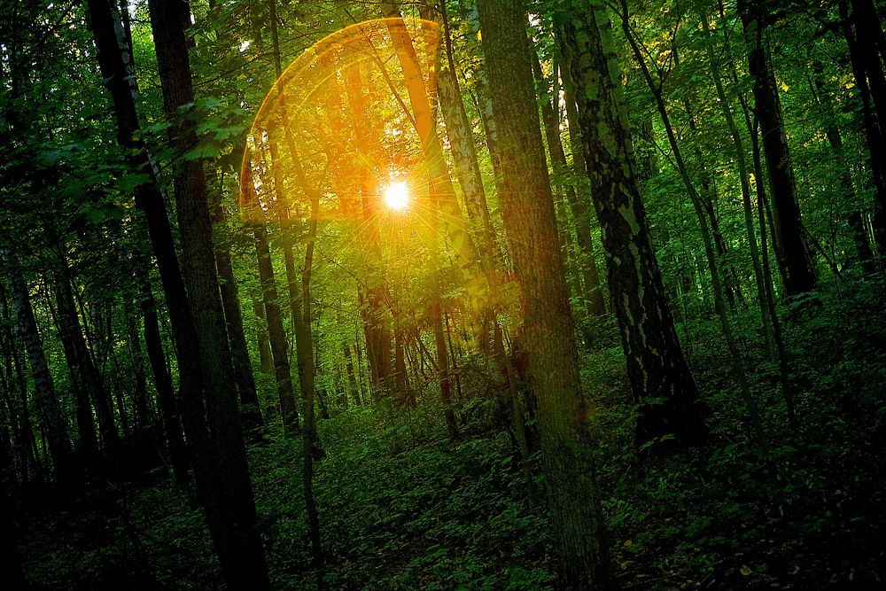 Photograph by Вадим Гераскин