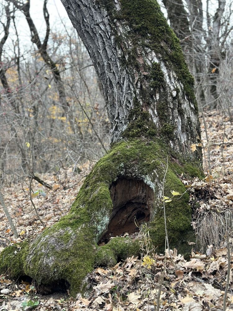 Фотография автора Яврова Татьяна