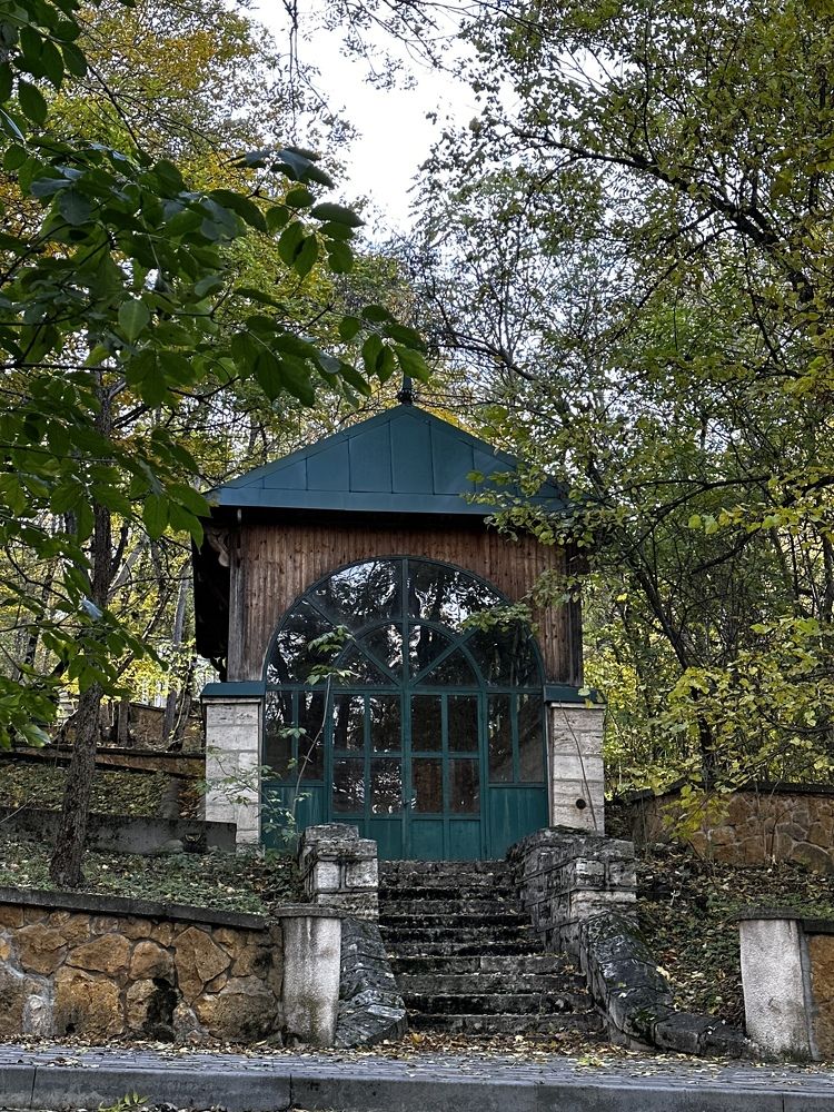 Фотография автора Яврова Татьяна