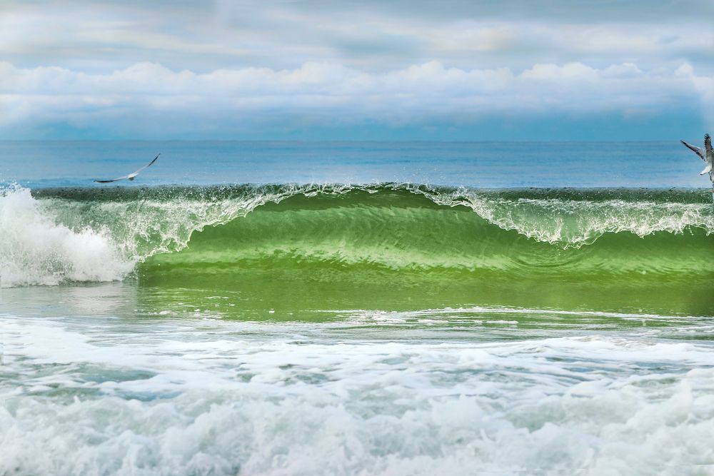 Photograph by Шруб (Беляева) Татьяна