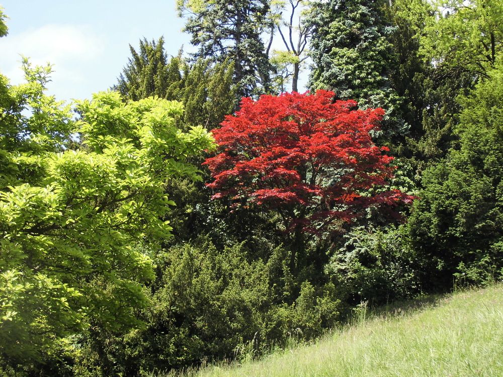 Photograph by Лариса Неудачина