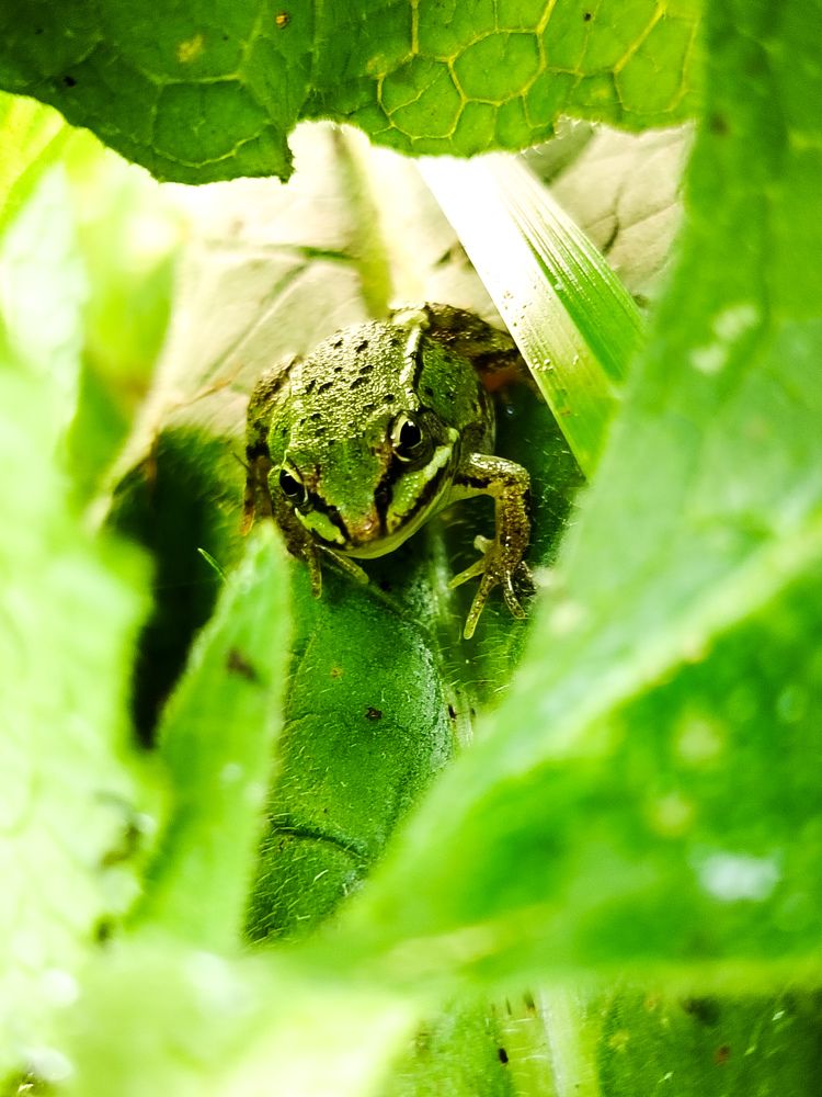 Photograph by Любовь Коровацкая