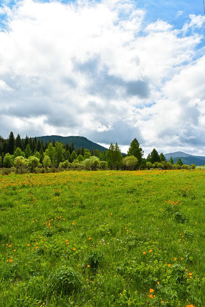 Photograph by Валентина