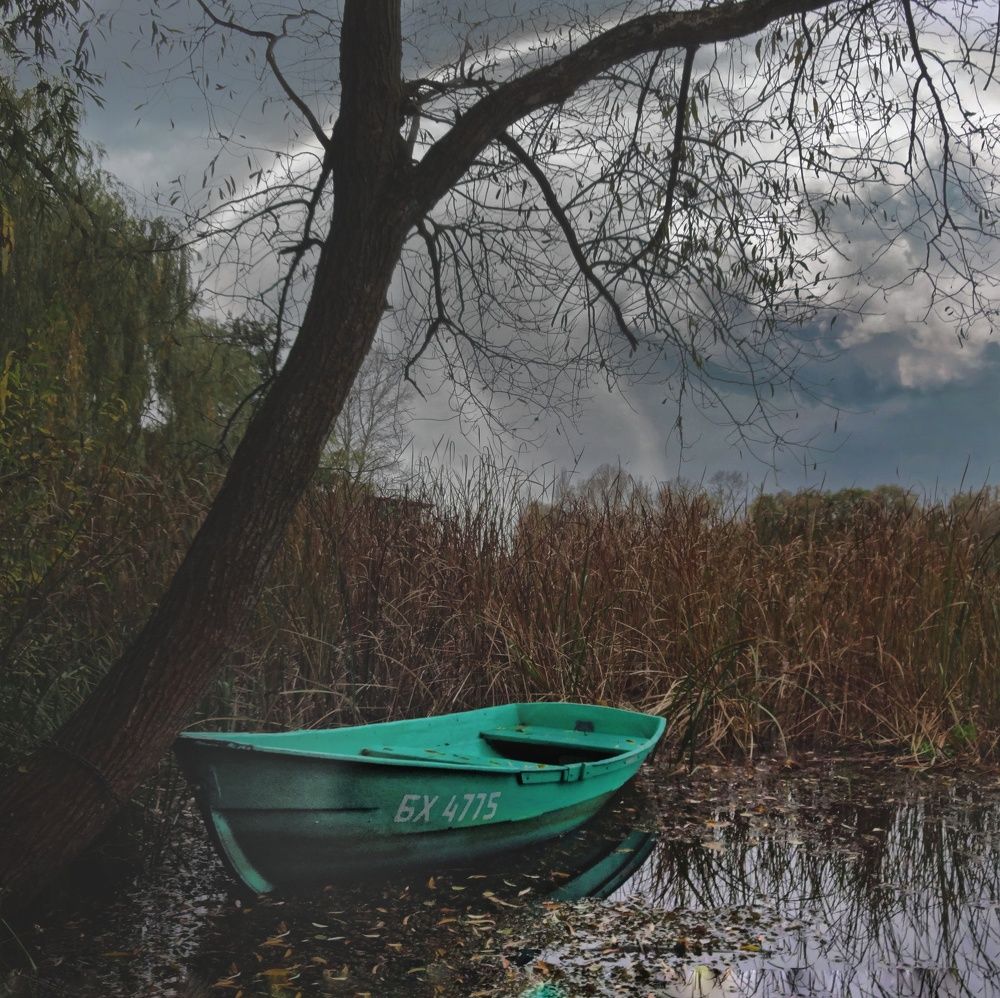 Фотография автора Геннадий Ломеко
