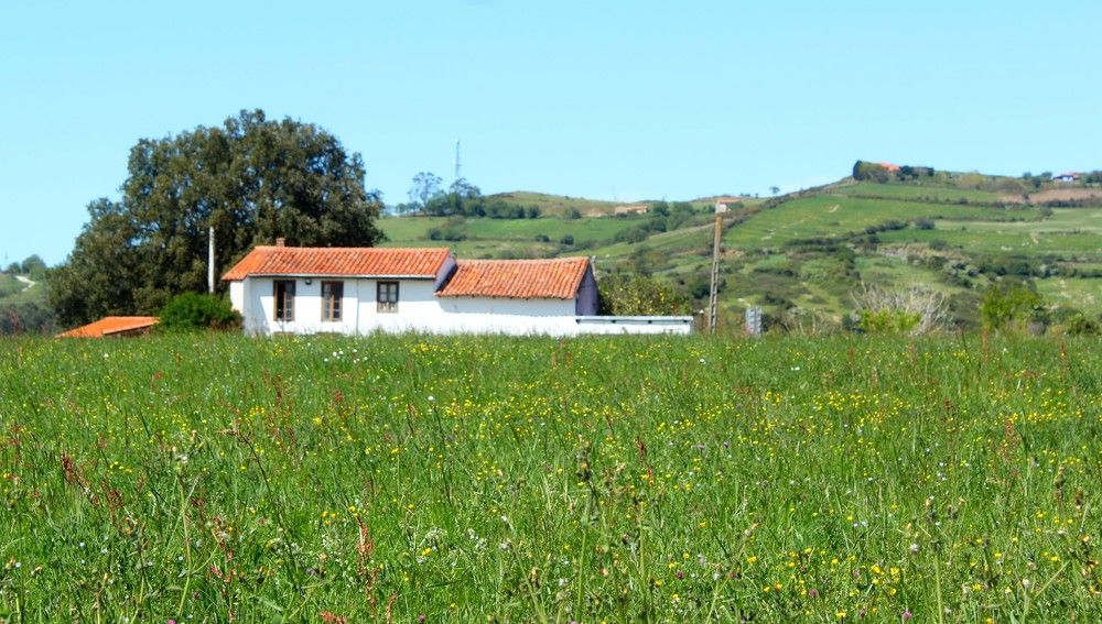 Verde que te quiero verded