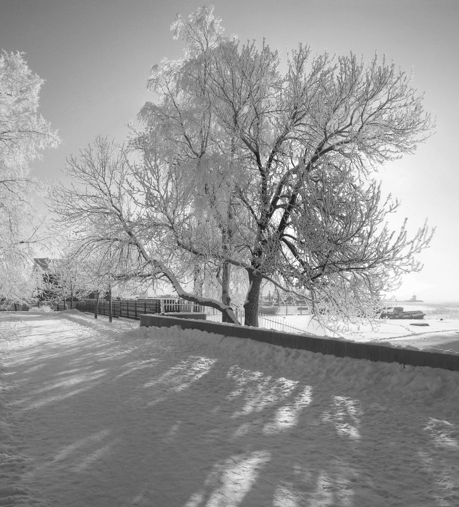 Photograph by Сергей Григорьев