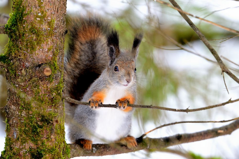 Photograph by Александр Зуев