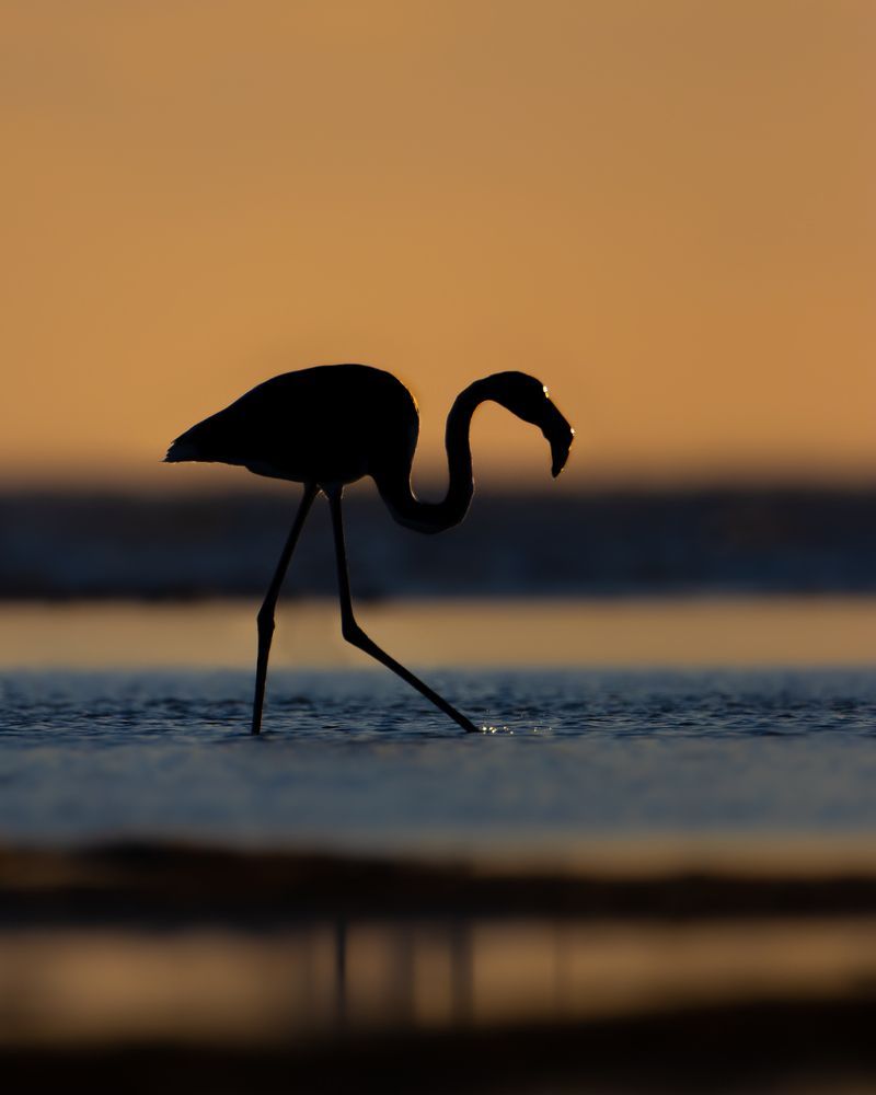 Photograph by Matteo Gaglio