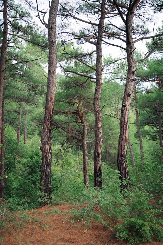 Photograph by Камиль Галеев