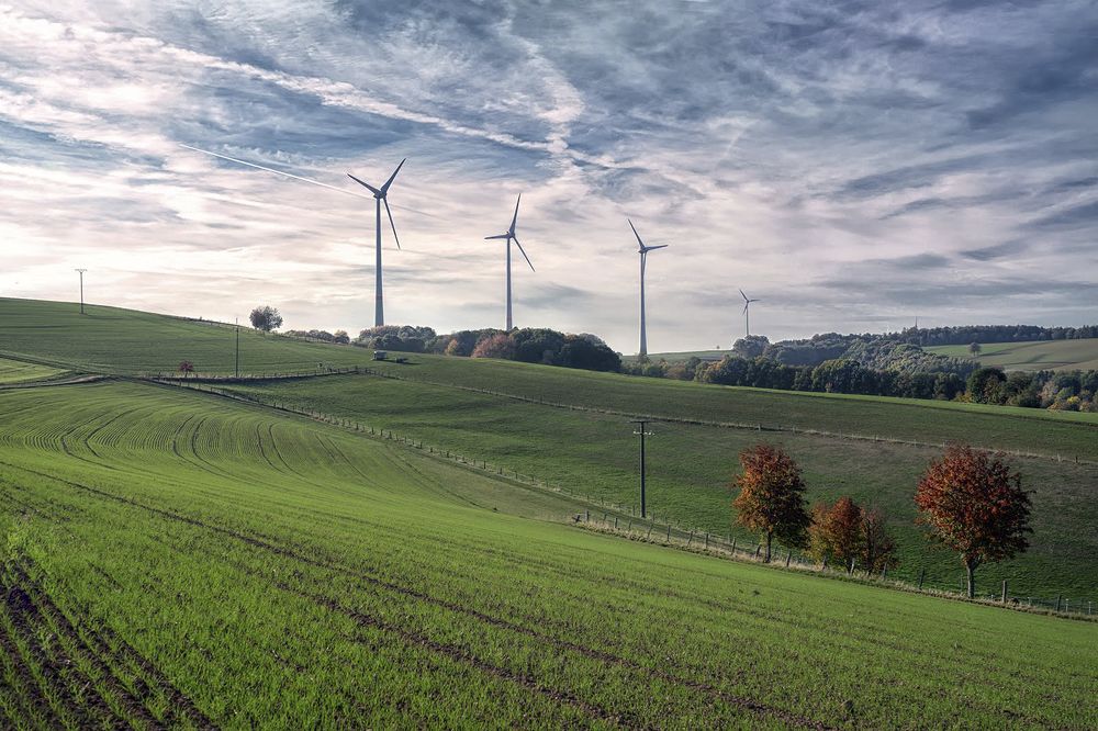 Photograph by Лидия