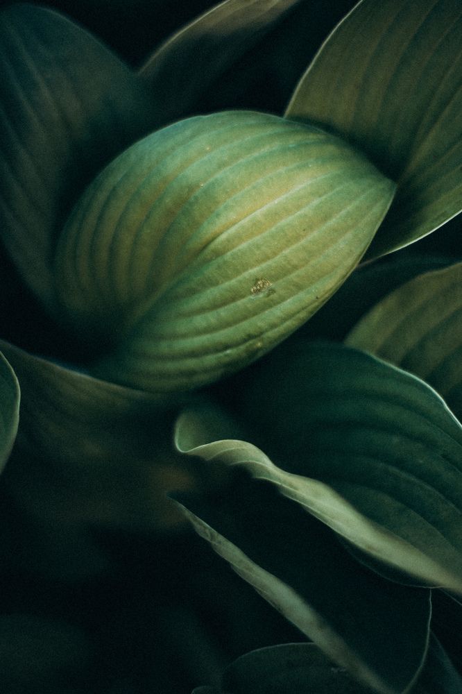 Photograph by Виктория Фирсова