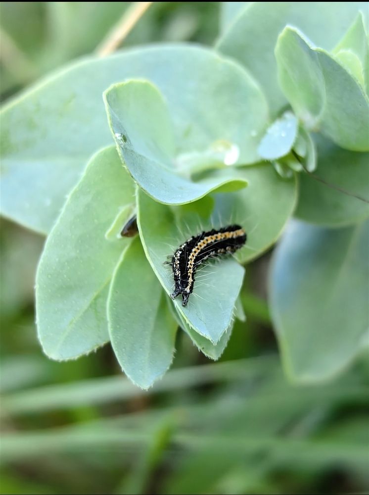 Photograph by Ирина Тихая