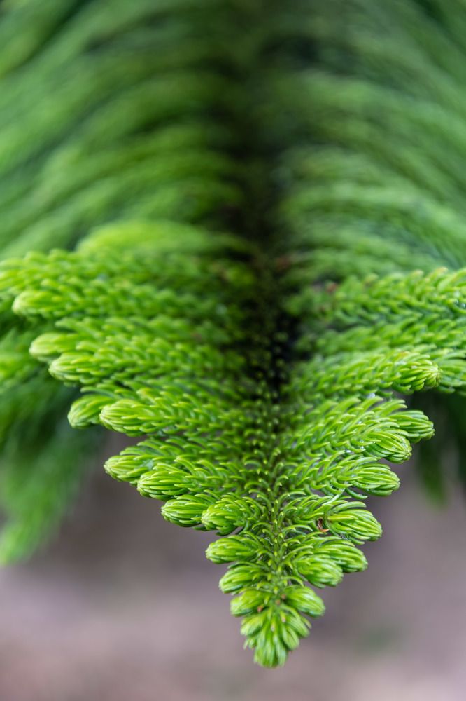 Photograph by Татьяна