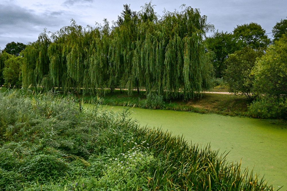 Photograph by Наталья Струц