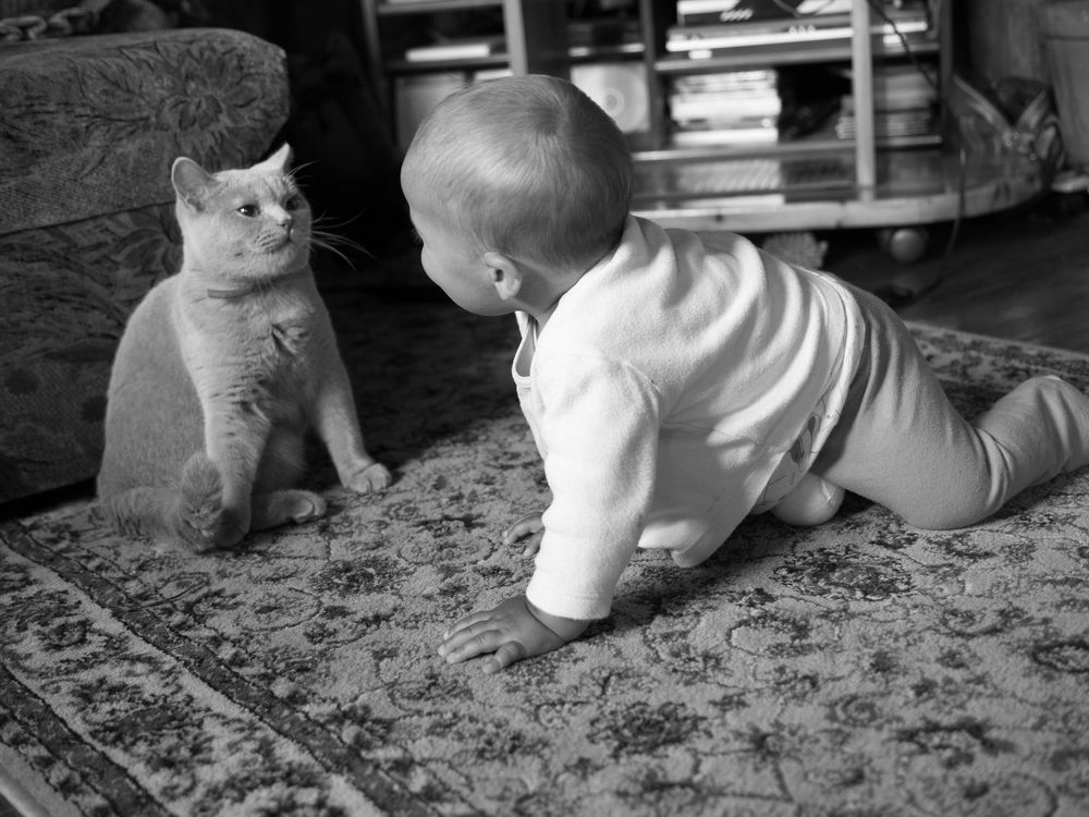 Photograph by Руслан Гончар