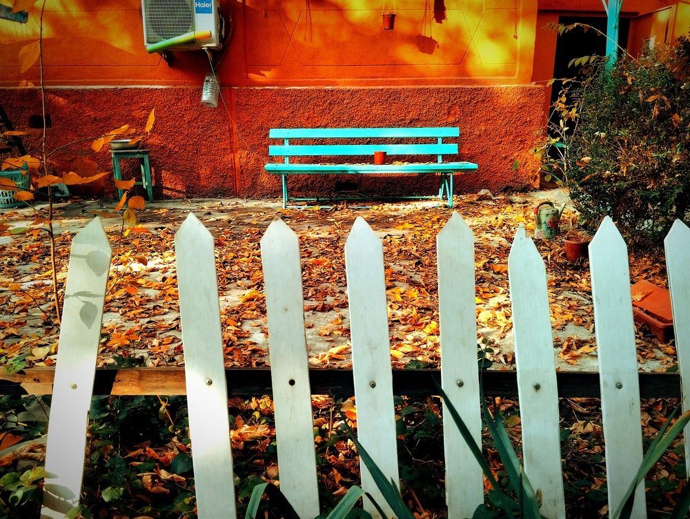 Photograph by Владимир Ким