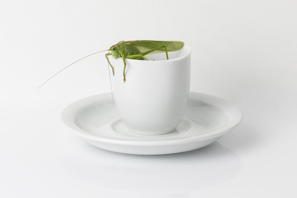 Фотография автора Евгений Печенин